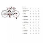 Trek FX+ 2 E-Bike City  2023 – Bild 12